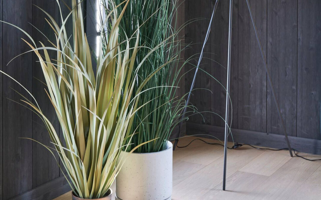 Parkett Tinnoset Natur